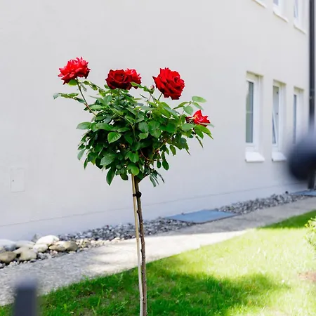 Lejlighed Haus Am Muehlenweg - Neue, Sonnendurchflutete Mit Aufzug Und Tiefgarage - Barrierefrei