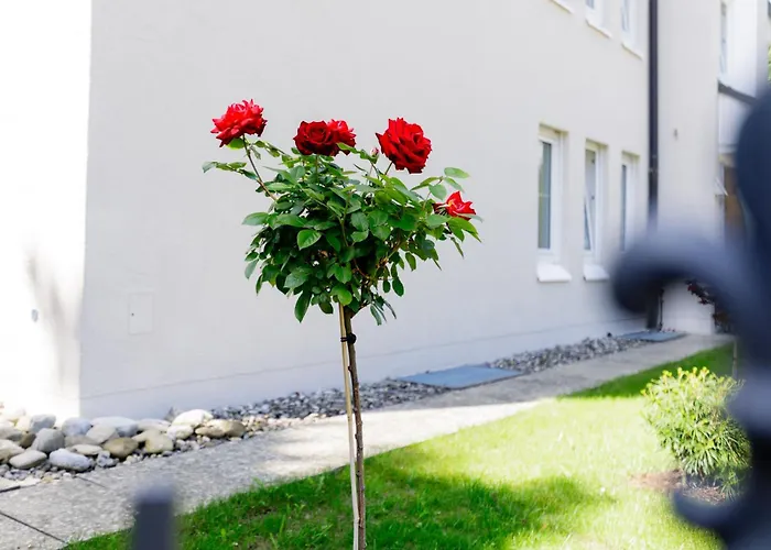 Διαμέρισμα Haus Am Muehlenweg - Neue, Sonnendurchflutete Mit Aufzug Und Tiefgarage - Barrierefrei